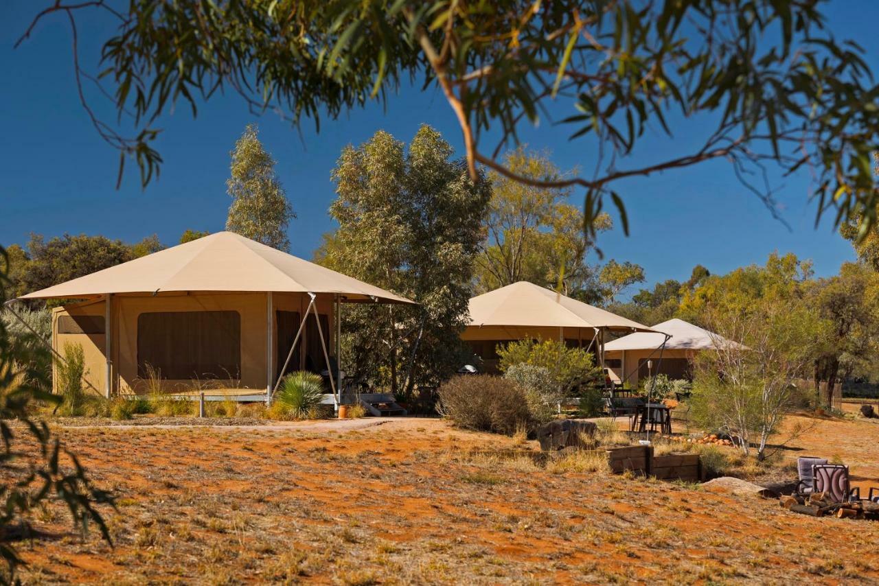 Squeakywindmill Boutique Tent B&B Alice Springs Exterior photo
